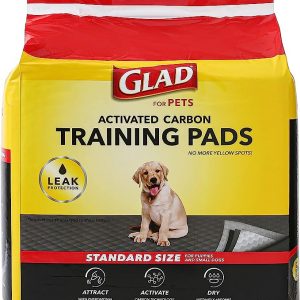 An adorable puppy sitting on the Glad for Pets Black Charcoal Puppy Pad