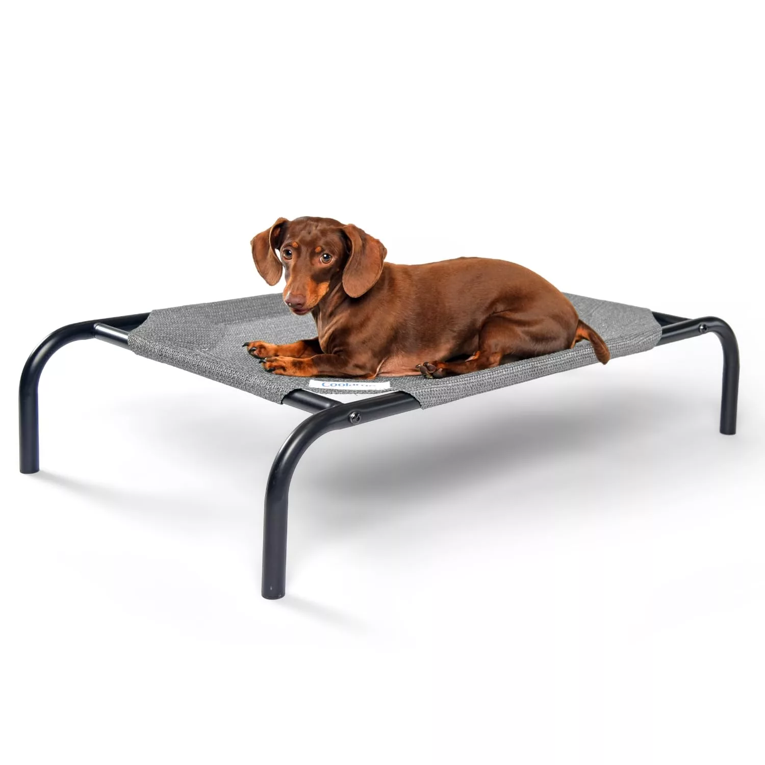 Coolaroo Dog Bed Review